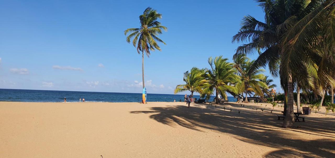 Puntacana Ecolodge Lavacama Beach Costa Arrecife By Aa Crypto Group Punta Cana Eksteriør billede