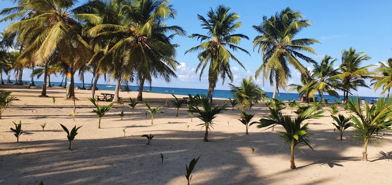 Puntacana Ecolodge Lavacama Beach Costa Arrecife By Aa Crypto Group Punta Cana Eksteriør billede