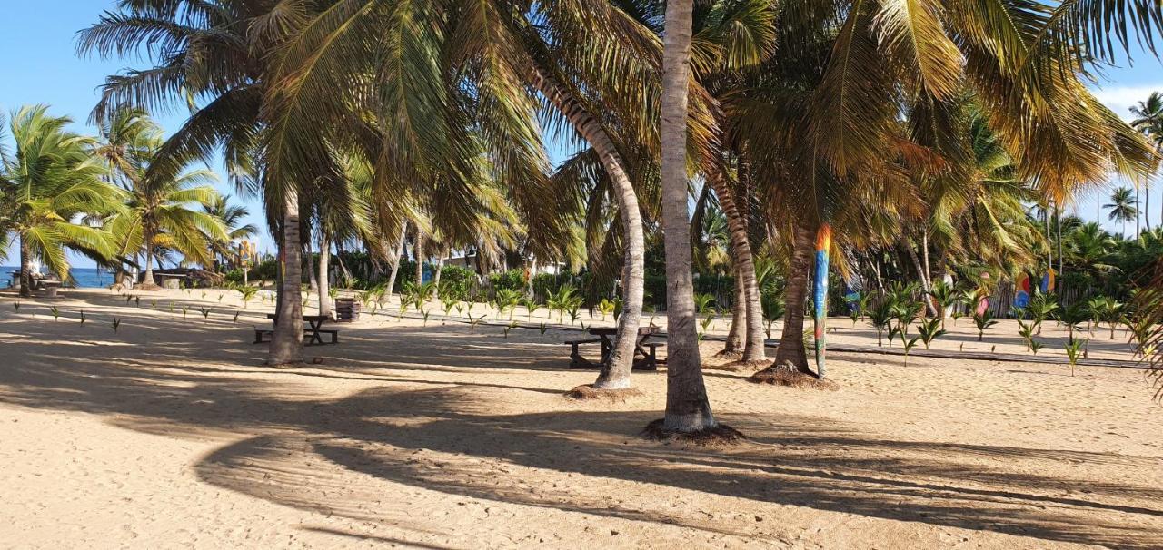 Puntacana Ecolodge Lavacama Beach Costa Arrecife By Aa Crypto Group Punta Cana Eksteriør billede