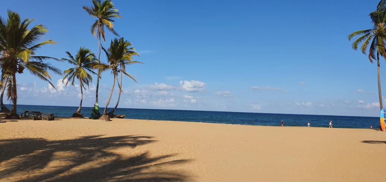 Puntacana Ecolodge Lavacama Beach Costa Arrecife By Aa Crypto Group Punta Cana Eksteriør billede