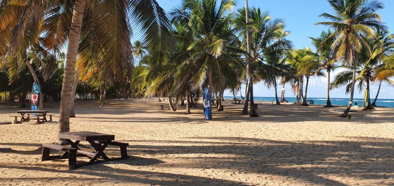 Puntacana Ecolodge Lavacama Beach Costa Arrecife By Aa Crypto Group Punta Cana Eksteriør billede