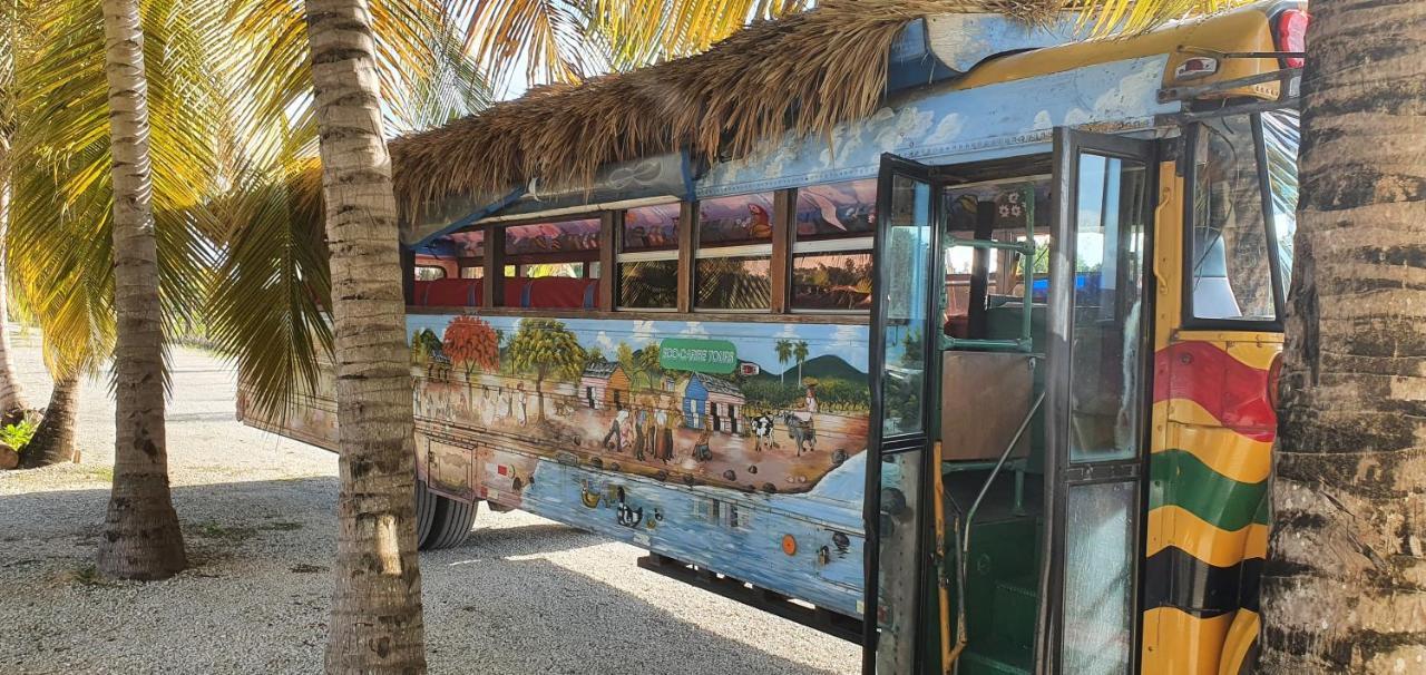 Puntacana Ecolodge Lavacama Beach Costa Arrecife By Aa Crypto Group Punta Cana Eksteriør billede