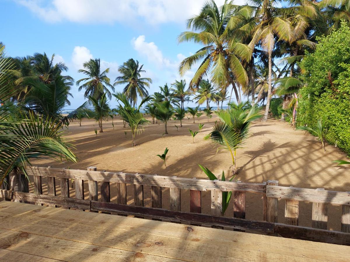 Puntacana Ecolodge Lavacama Beach Costa Arrecife By Aa Crypto Group Punta Cana Eksteriør billede