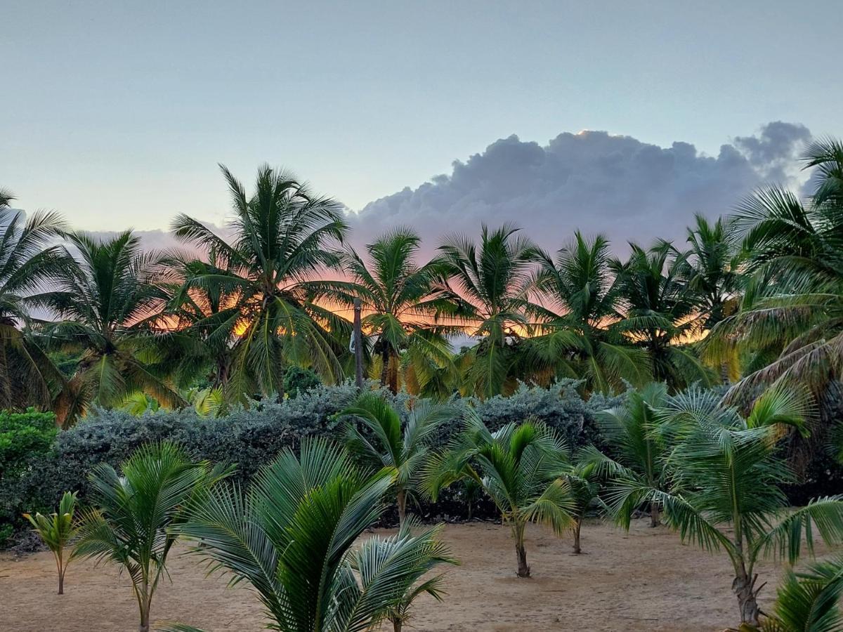 Puntacana Ecolodge Lavacama Beach Costa Arrecife By Aa Crypto Group Punta Cana Eksteriør billede