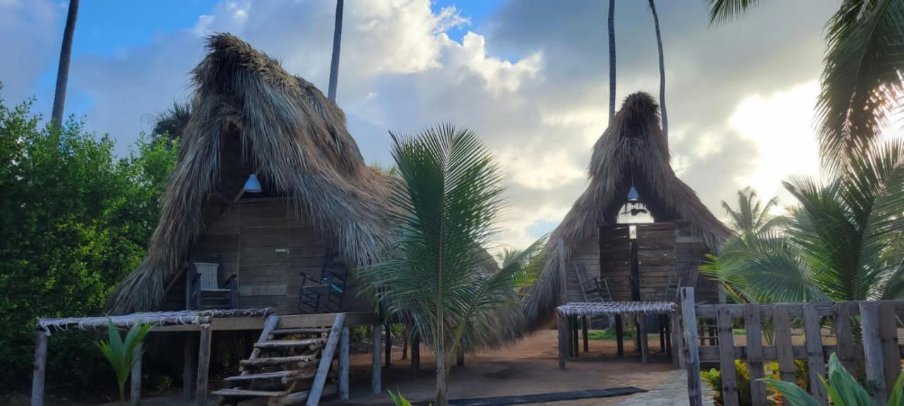 Puntacana Ecolodge Lavacama Beach Costa Arrecife By Aa Crypto Group Punta Cana Eksteriør billede
