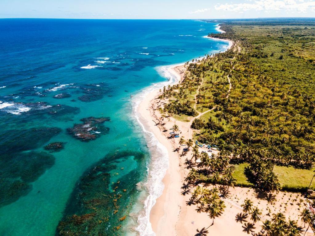 Puntacana Ecolodge Lavacama Beach Costa Arrecife By Aa Crypto Group Punta Cana Eksteriør billede