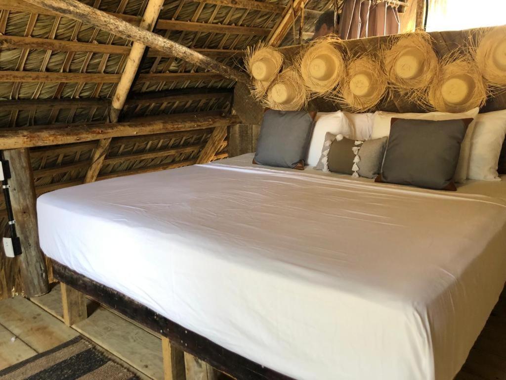 Puntacana Ecolodge Lavacama Beach Costa Arrecife By Aa Crypto Group Punta Cana Eksteriør billede