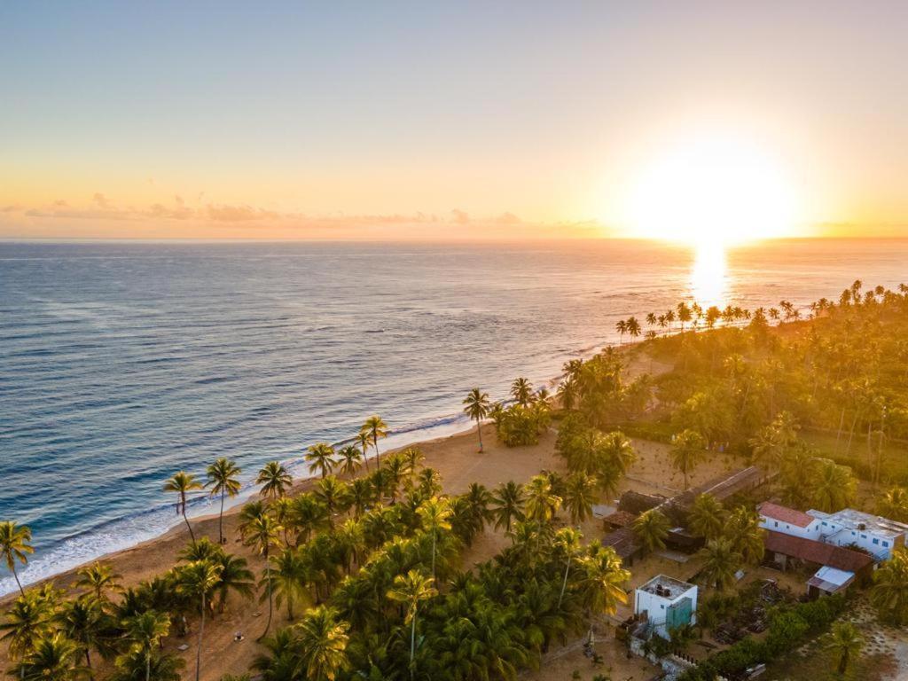 Puntacana Ecolodge Lavacama Beach Costa Arrecife By Aa Crypto Group Punta Cana Eksteriør billede