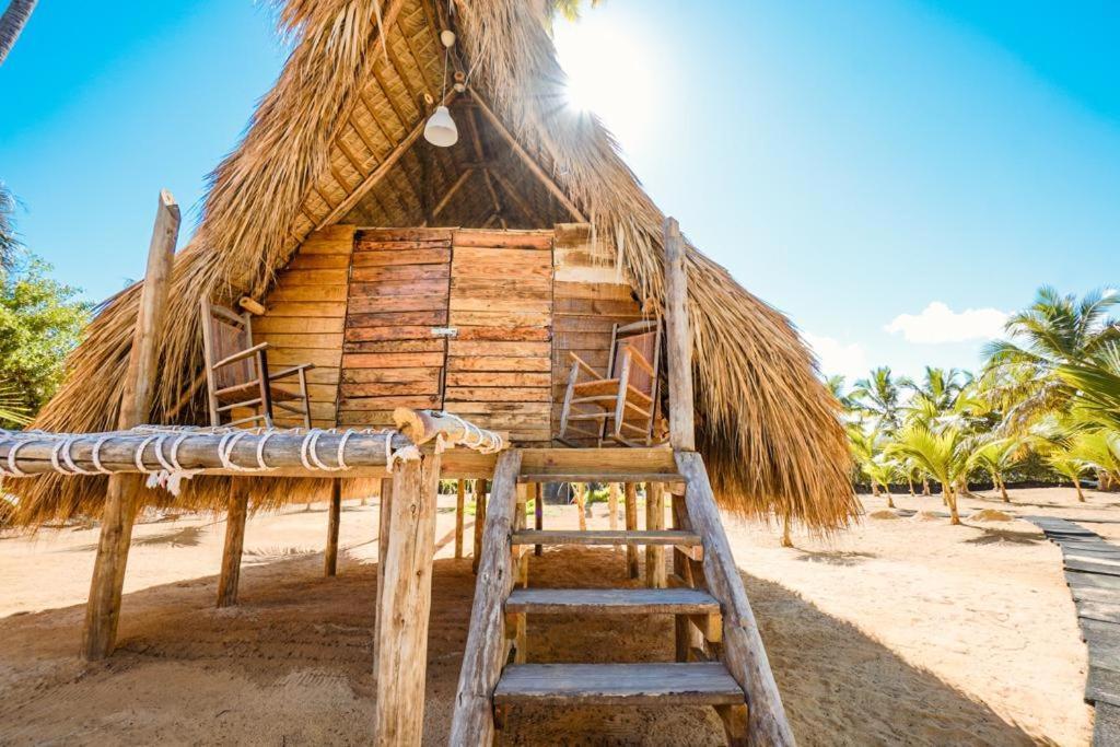 Puntacana Ecolodge Lavacama Beach Costa Arrecife By Aa Crypto Group Punta Cana Eksteriør billede