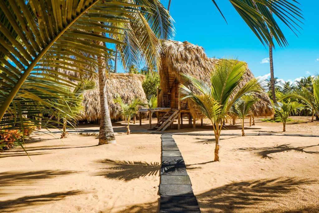 Puntacana Ecolodge Lavacama Beach Costa Arrecife By Aa Crypto Group Punta Cana Eksteriør billede
